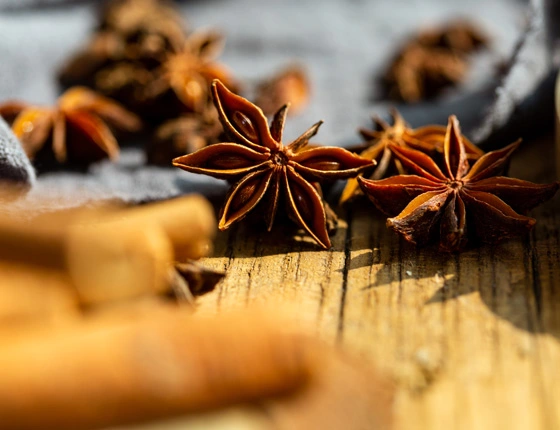 star anise 03